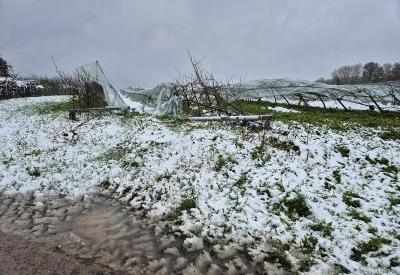 dégâts neige vergers tempête Caetano