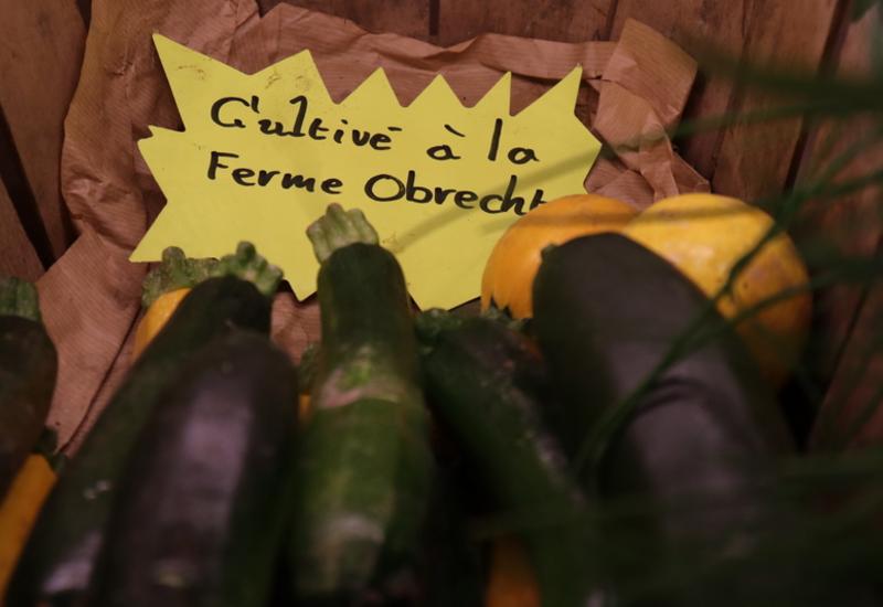 courgette vente directe