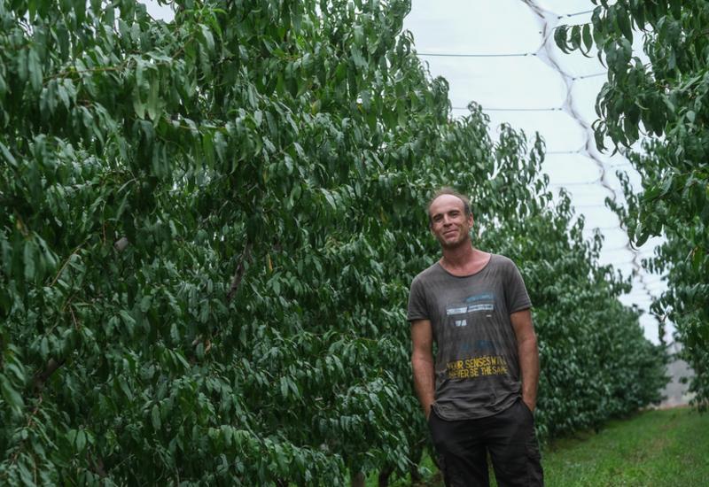<em class="placeholder">Depuis la mise en place des filets, Julien Rous n’a abattu aucun des arbres protégés alors qu’à l’extérieur l’hécatombe continue.</em>