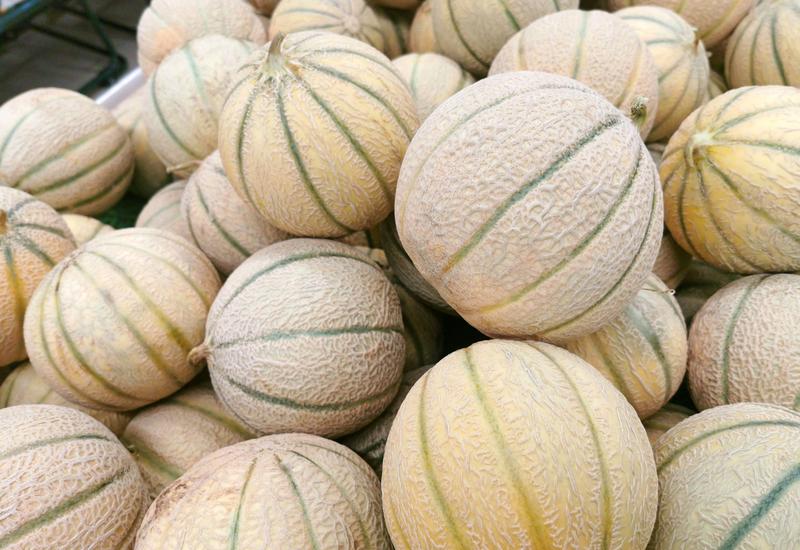 <em class="placeholder">Melon charentais</em>