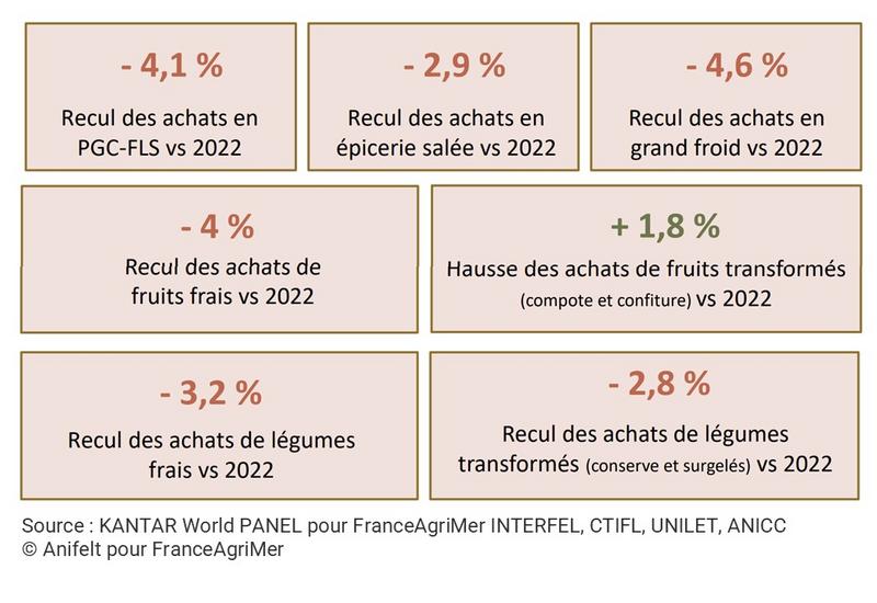 Infographie des chiffres clés de la consommation en 2023 : PGC, fruits frais, fruits transformés, épicerie salée, légumes transformés