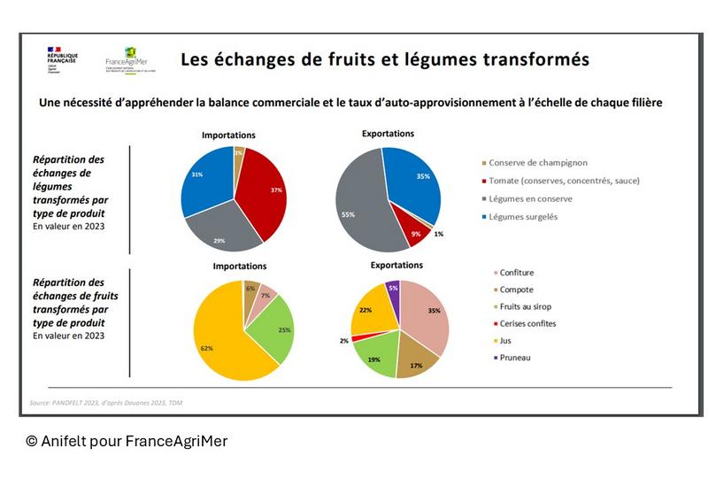 Infographie des importations et exportations de la France des principaux fruits et légumes trasnformés.