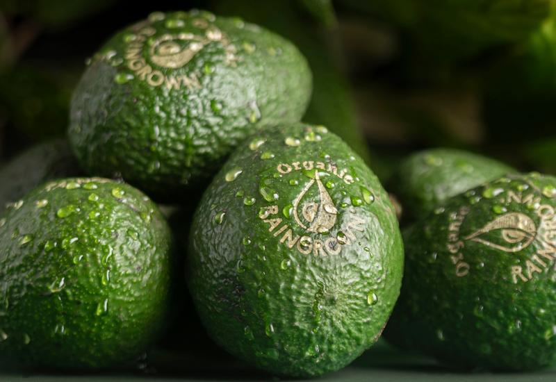 des avocats avec le logo Organic Raingrown gravé sur leur peau