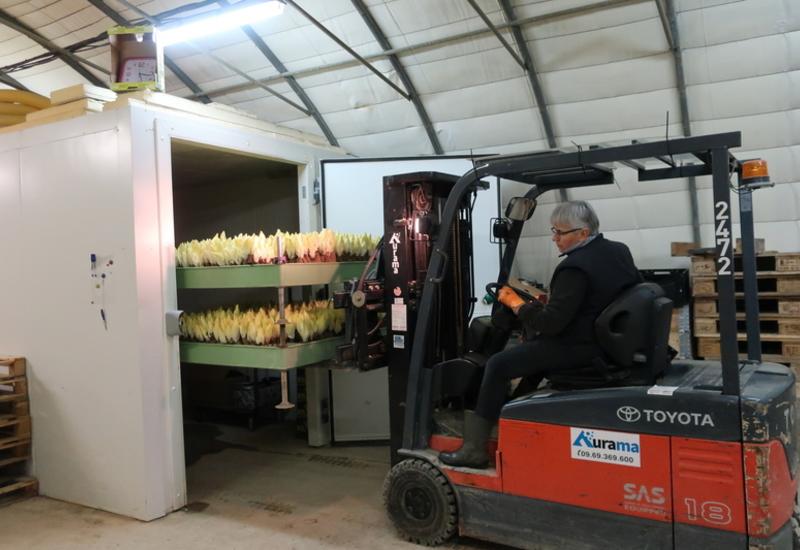 <em class="placeholder">endives chambre froide</em>