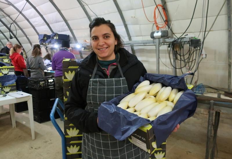 <em class="placeholder">Laurie Lunel, productrice d&#039;endives</em>