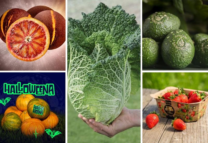 Montage photo réunissant les 5 nommés aux Fruit Logistica Awards 2025 avec les agrumes Onix et Halloweena d'AMFresh, le chou de Savoie à tête pointue de Bejo, l'avocat cultivé à l'eau de pluie d'Eosta et la fraise ALDIna pour les magasins Aldi Süd de Frutania.