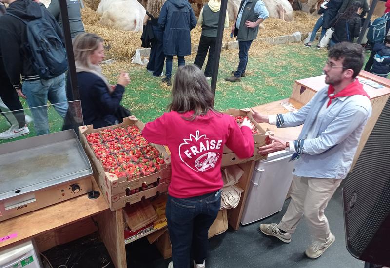 sur un stand au salon de l'agriculture dégustation de fraise