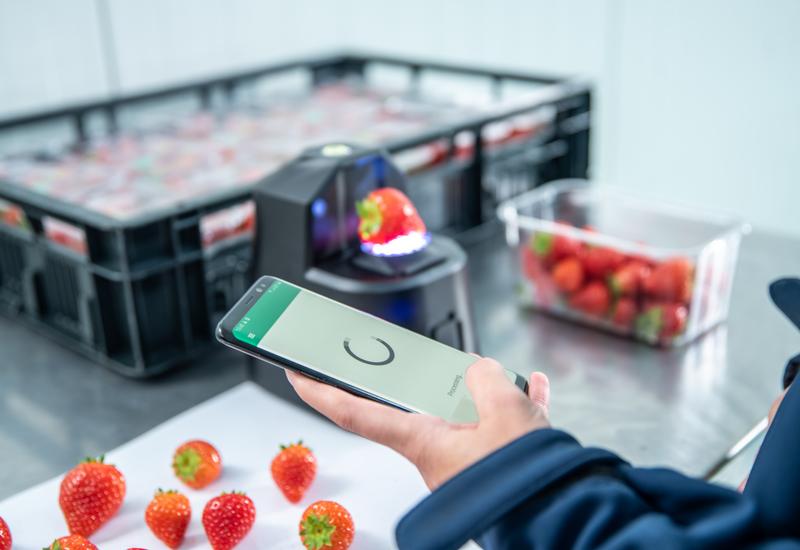 Une personne prend en photo des fraises; en arrière plan, une fraise est posée sur un scanner