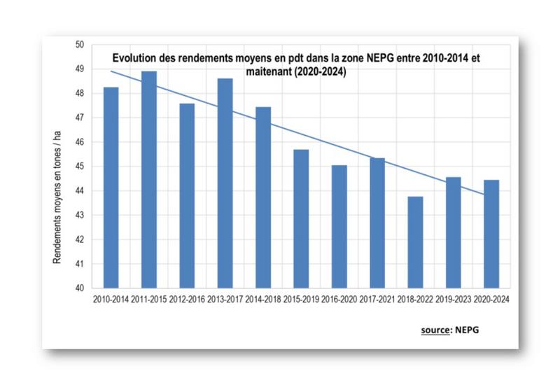 graphique montrant que les rendements moyens en pomme de terre dans le nord-ouest européen sont en baisse depuis les années 2010.