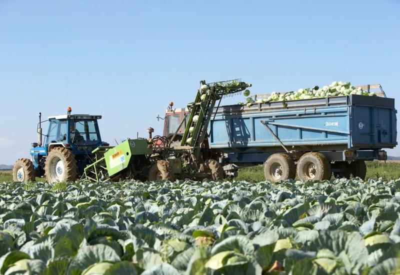 <em class="placeholder">La Bretagne, troisième région productrice de légumes frais</em>