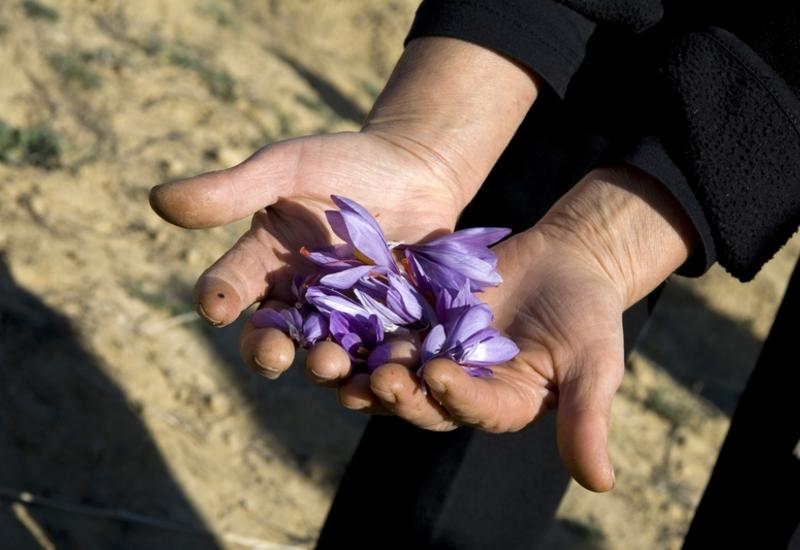 <em class="placeholder">fleurs safran</em>