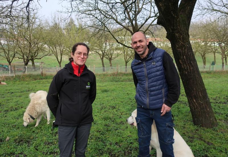 <em class="placeholder">Cédric Ruzzin, nuciculteur et éleveur, est à l’origine de la transhumance et du pâturage sous les noyers de sa commune. Ici, avec Delphine Sneedse de la Senura.</em>