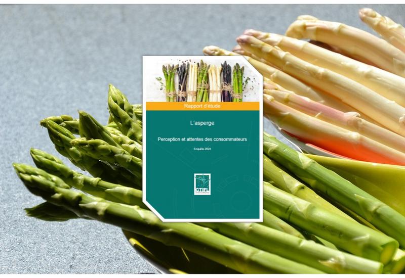 asperges vertes et blanches et en premier plan la couverture d'une étude du CTIFL sur la consommation d'asperge