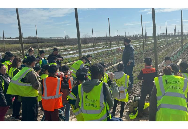 des enfants en visite sur une exploitation de pommes