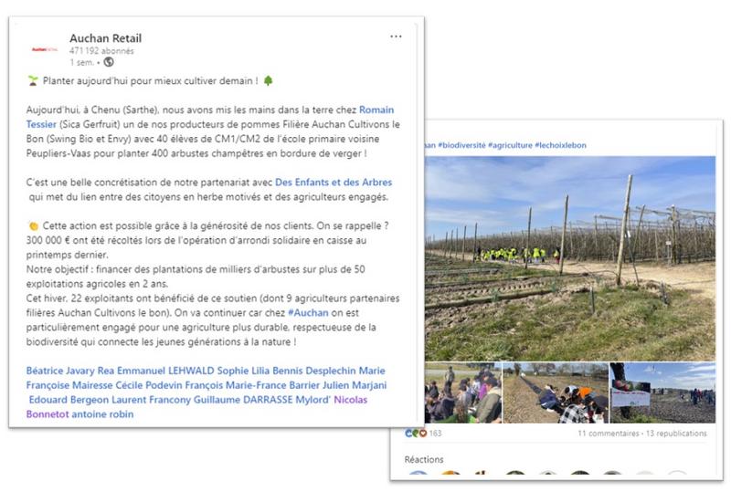 Capture d'écran d'un post LinkedIn d'Auchan Retail à propos du mécénat pour l'association Des Enfants et des Arbres pour faire planter des haies par les enfants