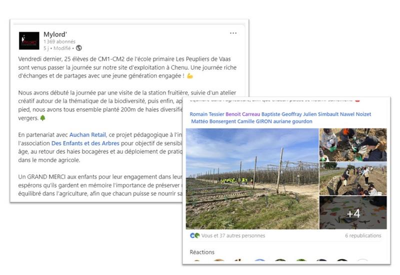 Capture d'écran du compte LinkedIn de Mylord sur la journée d'accueil d"élèves de primeur pour planter des haires