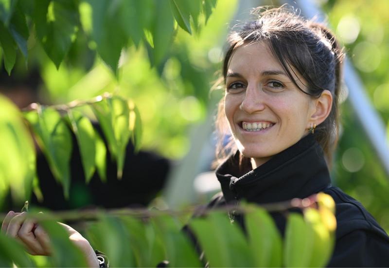 portrait de mathilde chambe dans un verger de cerisiers