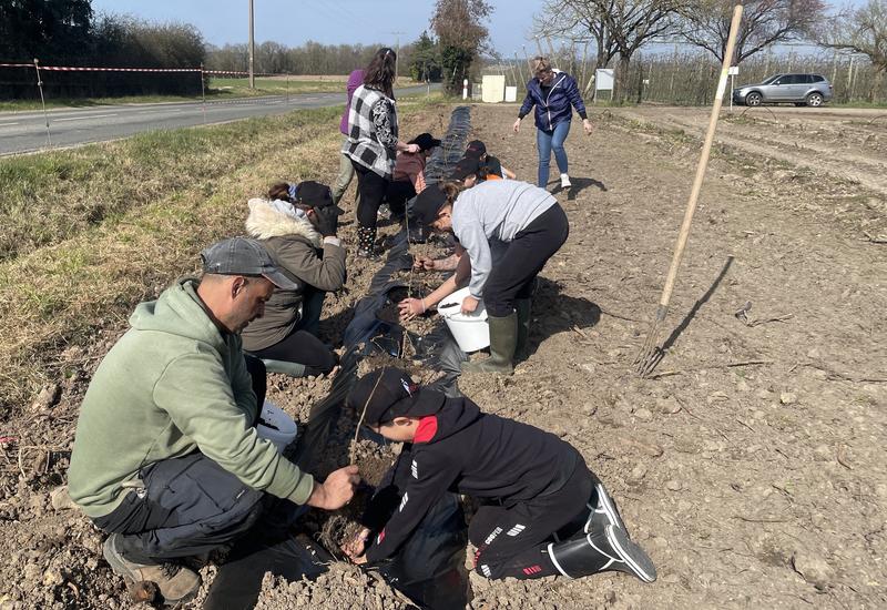 des enfants plantent des arbres