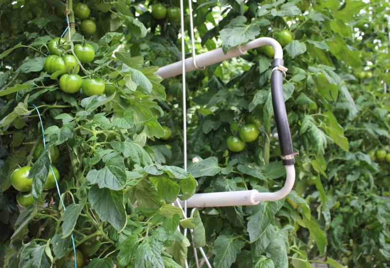 <em class="placeholder">Des forcas ont été posés lors de la rénovation du système de chauffage. </em>