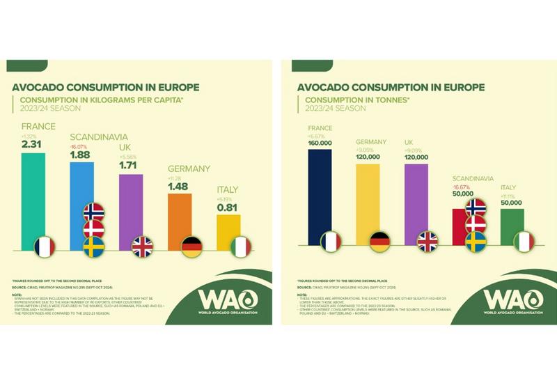 graphiques de consommation apparente et de consommation par habitant de l'avocat dans quelques pays d'Europe