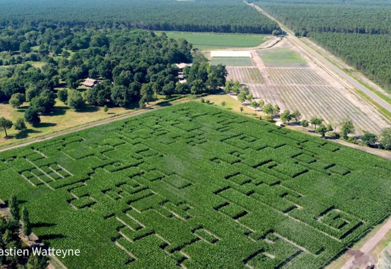 <em class="placeholder">Plus de 6 000 personnes sillonnent le labyrinthe durant l’été de juin à septembre.</em>