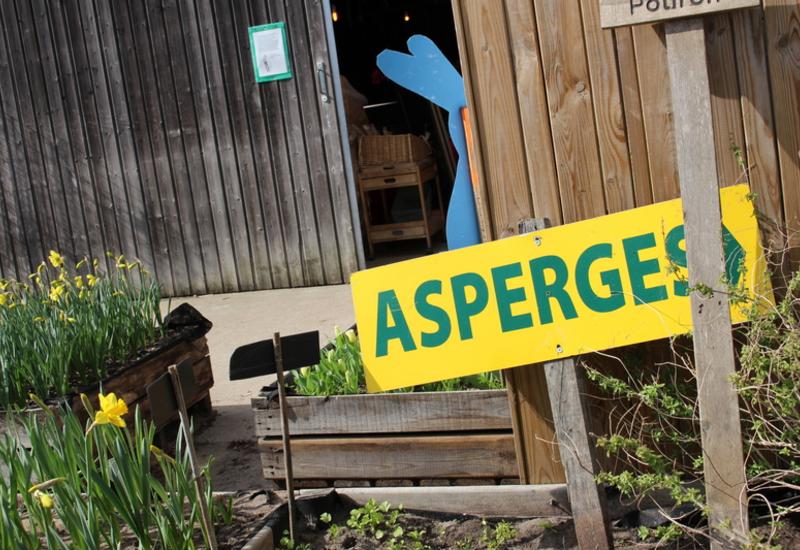 <em class="placeholder">Les asperges, mais aussi les fleurs à bulbe en libre cueillette, constituent l'essentiel de l'activité printanière de La Benarderie.</em>