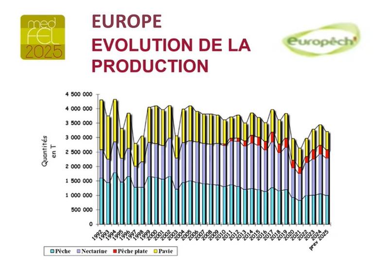 graphique qui présente l'évolution de la production en pêche, nectarine et pavie de l'Europe depuis 1992.