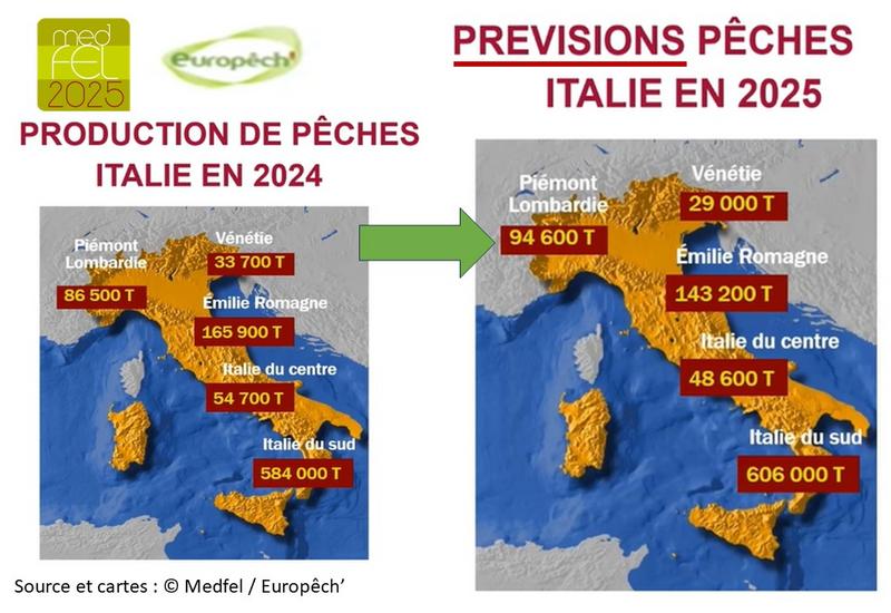 deux cartes qui présentent la production des différentes régions d'Italie en pêche nectarine pour 2024 et prévisionnel 2025