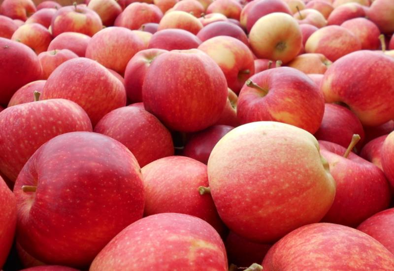 <em class="placeholder">Pommes rouges</em>