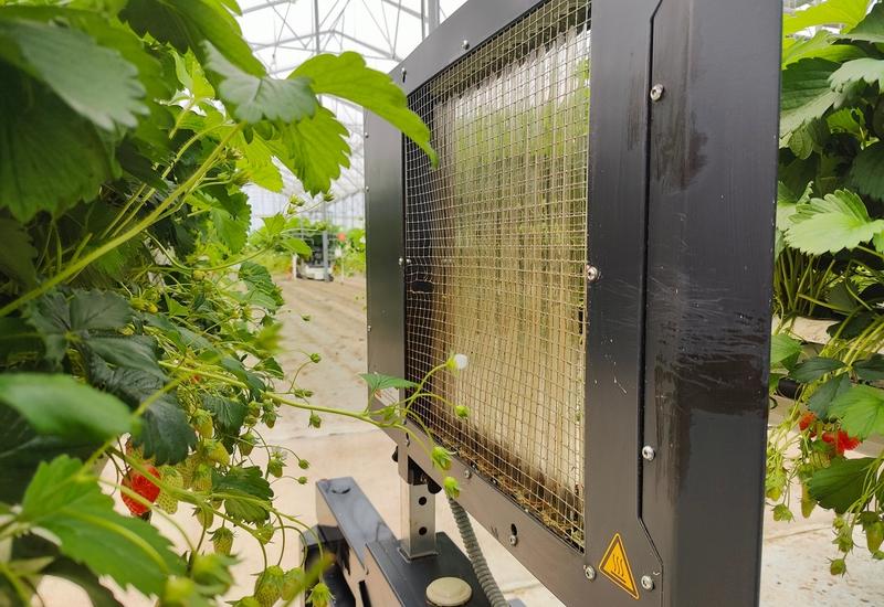 <em class="placeholder">Le robot chemine par allers-retours dans les rangs, en diffusant une lumière UV-C à la demi-dose prescrite, afin de limiter tout risque phytotoxique.</em>