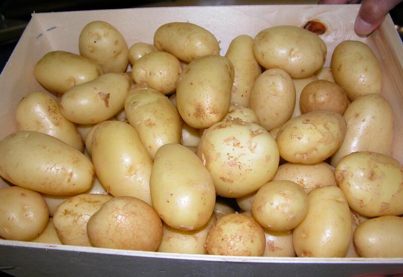 colis de pommes de terre de primeur