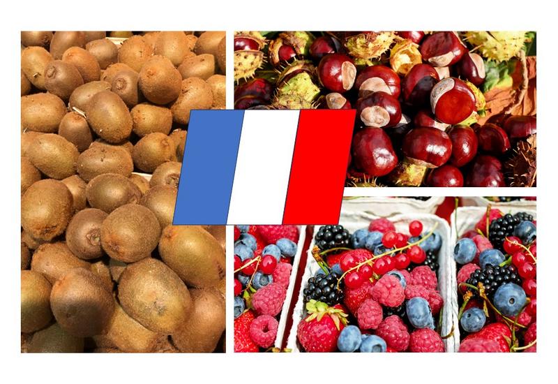 Des kiwis, petits fruits rouges et des châtaignes barrées d'un drapeau français.