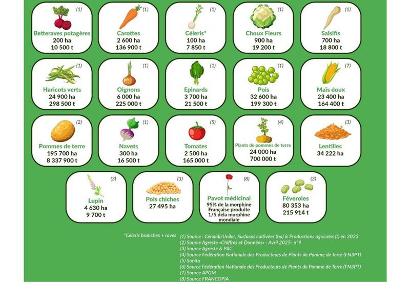 Infographie présentant les cultures concernées par le projet de recherche 1er Declclic avec pour chacune leurs chiffres clés