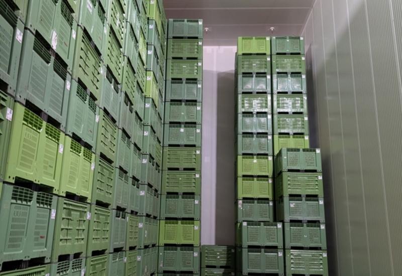 <em class="placeholder">Chambres en atmosphère contrôlée pour les pommes dans la station fruitière de Pomanjou à Verrières-en-Anjou dans le Maine-et-Loire.</em>
