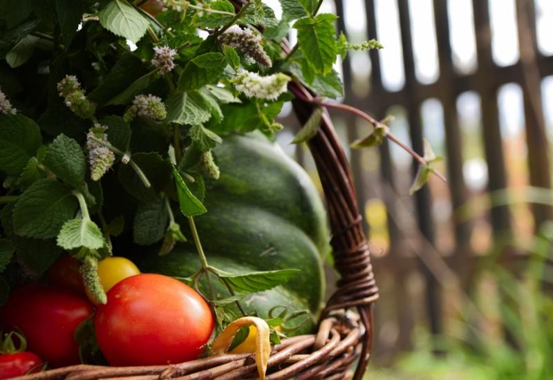 <em class="placeholder">Un panier contenant des légumes, dont des tomates et des courgettes. </em>