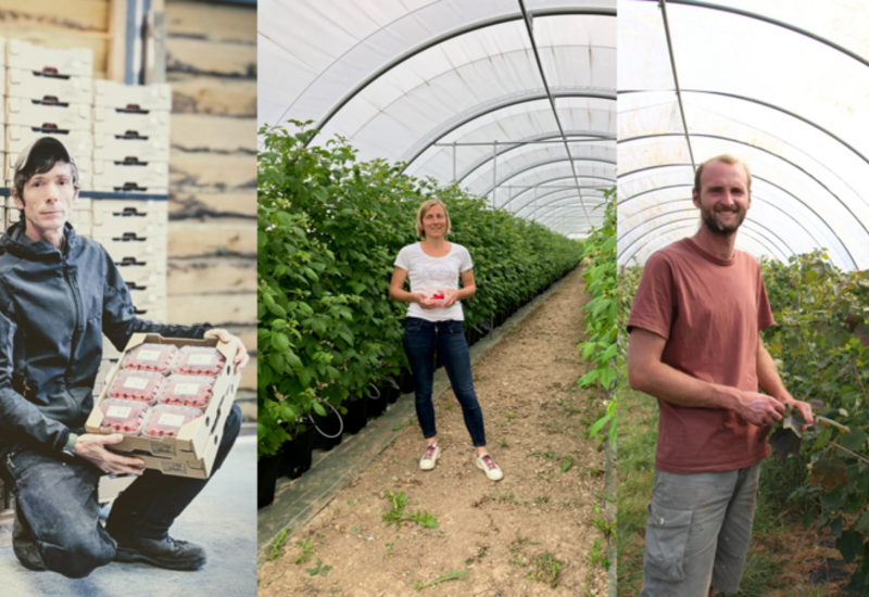 <em class="placeholder">Maxime Gemain, agriculteur dans les Landes, Adeline Savouré, productrice dans l'Aube et Romain Crignon, céréalier dans l'Oise.</em>