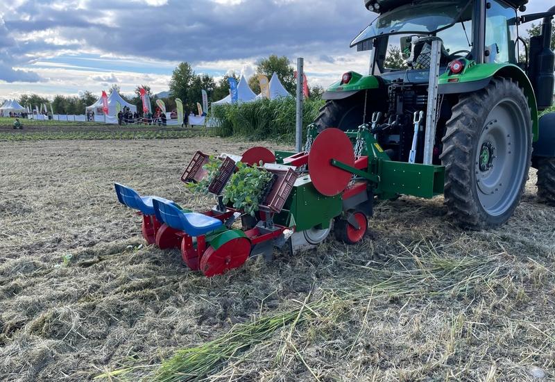 <em class="placeholder">Les planteuses maraîchères Mulchtec permettent de travailler dans des mulchs jusqu&#039;à 20 centimètres.</em>