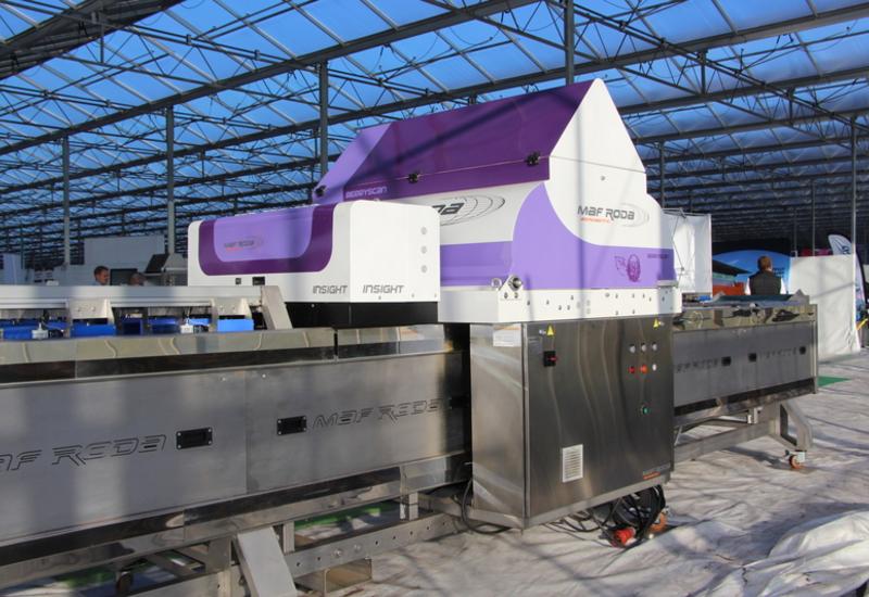 <em class="placeholder">La calibreuse de myrtilles de Maf Roda.</em>