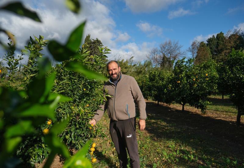 <em class="placeholder">Cédric Sanchez, arboriculteur à l'Ile-Sur-Têt dans les Pyrénées-Orientales.</em>