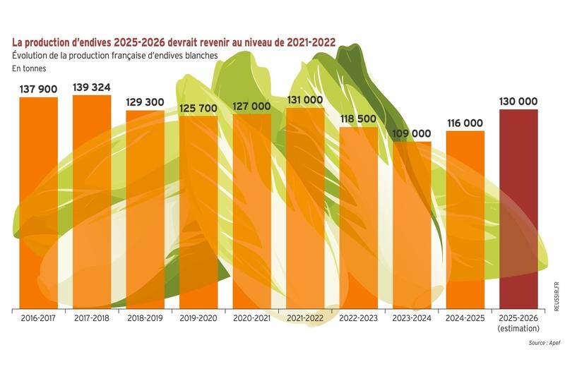 <em class="placeholder">La production d’endives 2025-2026 devrait revenir au niveau de 2021-2022</em>