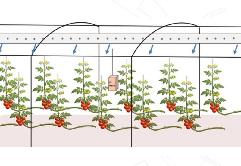 <em class="placeholder">schéma d'expérimentation d'un déshumidificateur dans un abri froid au CTIFL de Carquefou</em>