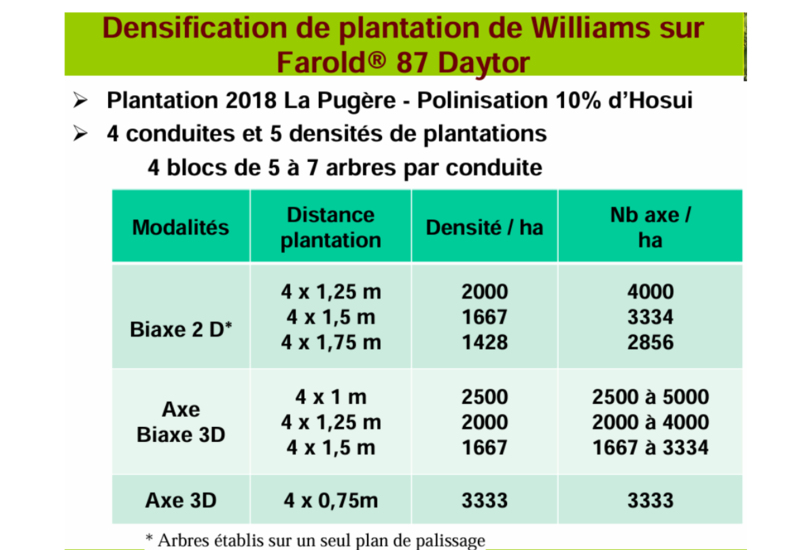 <em class="placeholder">Tableau d'une expérimentation de densification de verger de poiriers à La Pugère.</em>