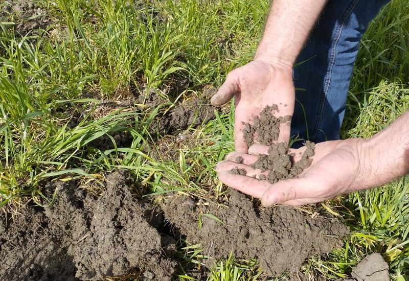 <em class="placeholder">Mottes de terre sous les couverts végétaux sur sol limono sableux, porosité, vers de terre</em>