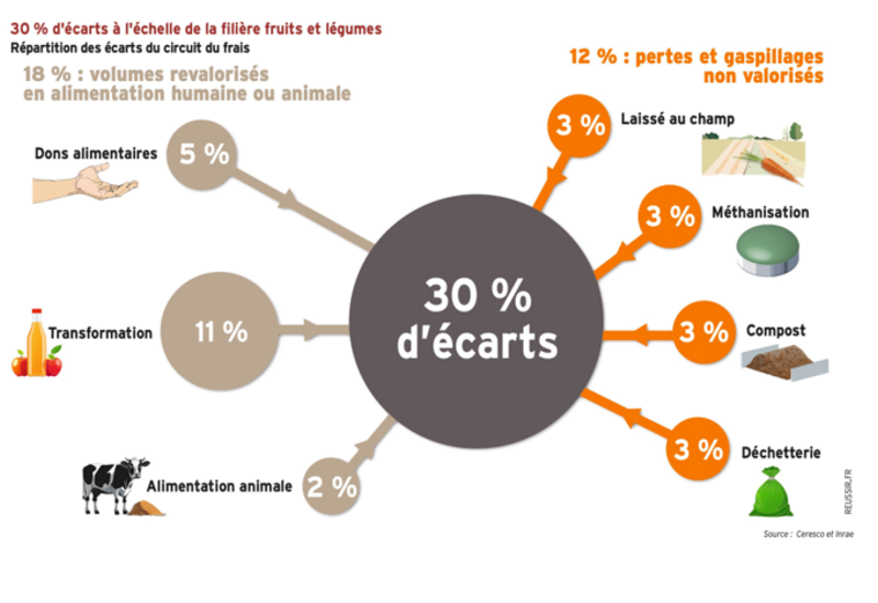 Schéma / graphique représentant le taux d'écarts du frais à l'échelle de la filière des fruits et légumes. 