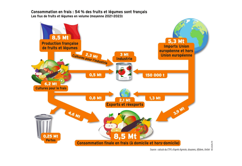 Infographie. La production française de fruits et légumes (hors pommes de terre) s’élève à 8,5 millions de tonnes (Mt) en moyenne sur la période 2021-2023, dont 6 Mt de légumes et 2,5 Mt de fruits.