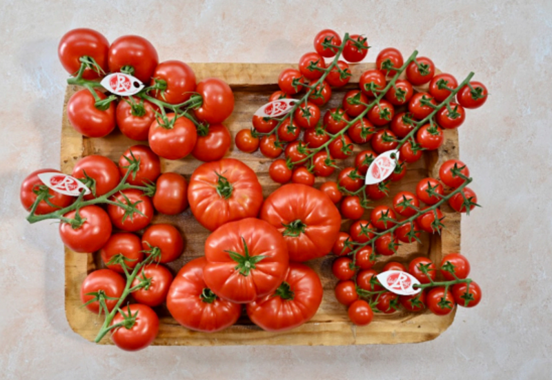<em class="placeholder">Tomate Label Rouge lance sa saison 2026 en augmentant sa production à 250 tonnes</em>