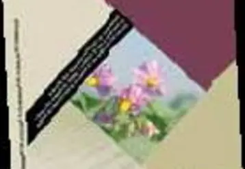 Vignette