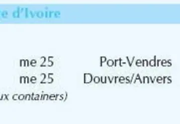 Vignette