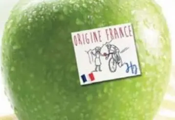 Vignette