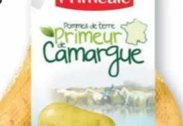 Vignette